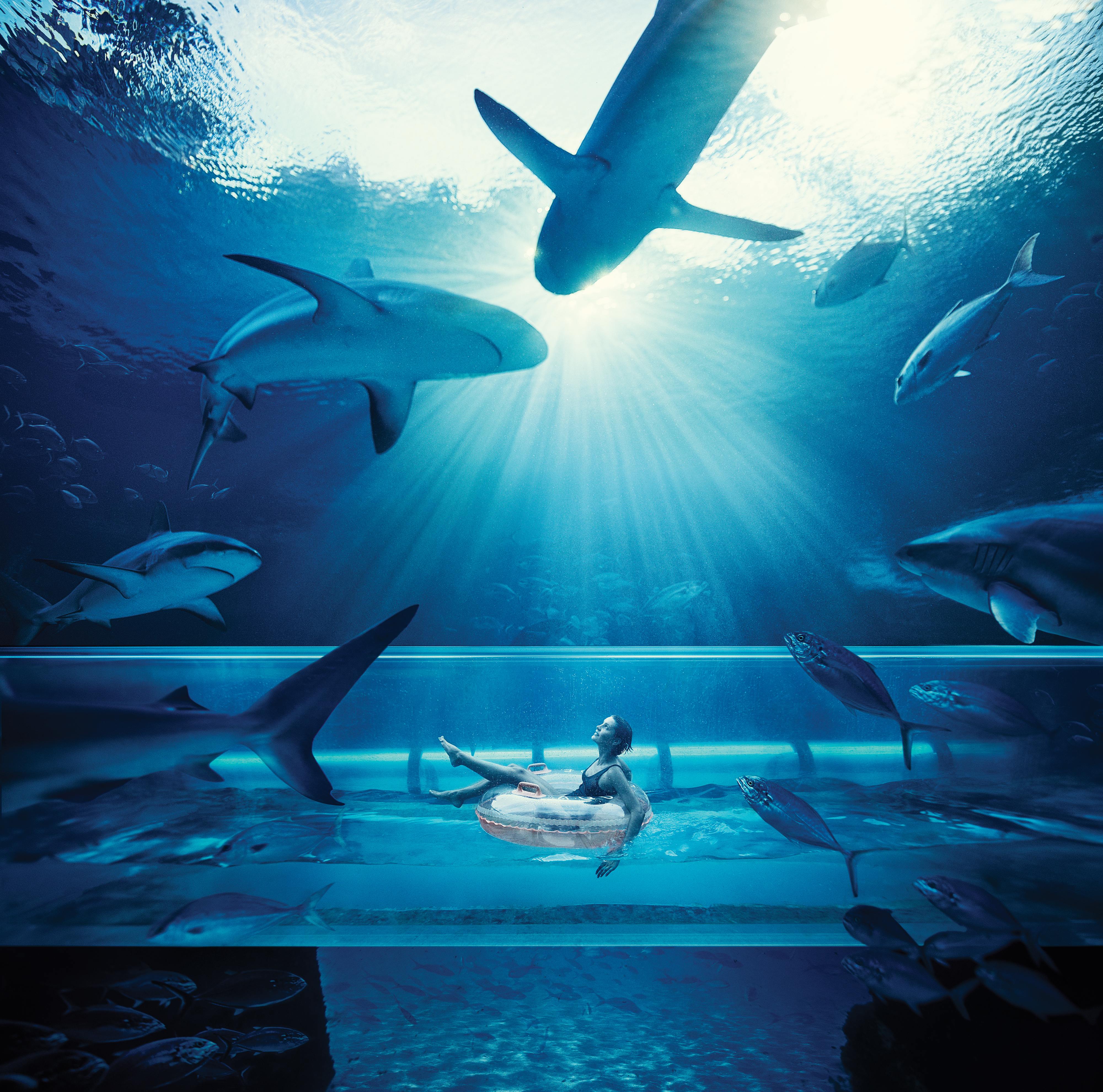 7. Having an Aquaadventure at The Atlantis